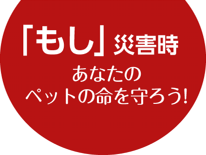 「もし」災害時あなたのペットの命を守ろう!