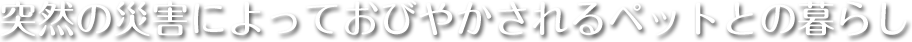 突然の災害によっておびやかされるペットとの暮らし