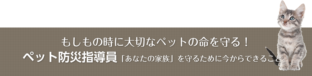 もしもの時に大切なペットの命を守る！ペット防災指導員「あなたの家族」を守るために今からできること。