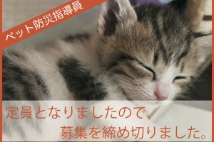 ＊定員となりましたので、募集を締め切りました。6/22「ペット防災指導員 大阪会場」
