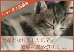 ＊定員となりましたので、募集を締め切りました。5/1「ペット防災指導員 東京会場」