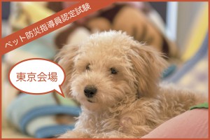 【東京】1月および2月 ペット防災指導員認定試験