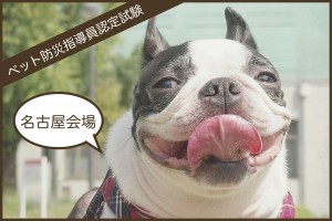 【名古屋】3月および4月 ペット防災指導員認定試験